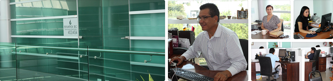 Sylvatica Consultores Ambientales