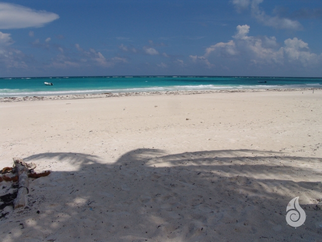 ¿CÓMO SE FORMA UNA PLAYA?
