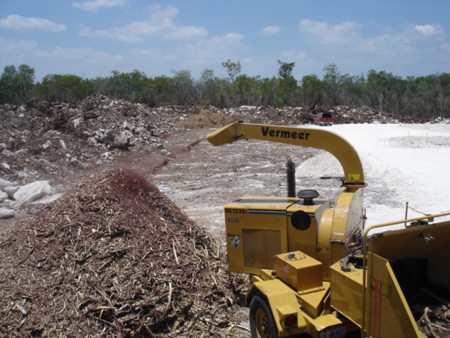 EL MULCH Y SU IMPORTANCIA
